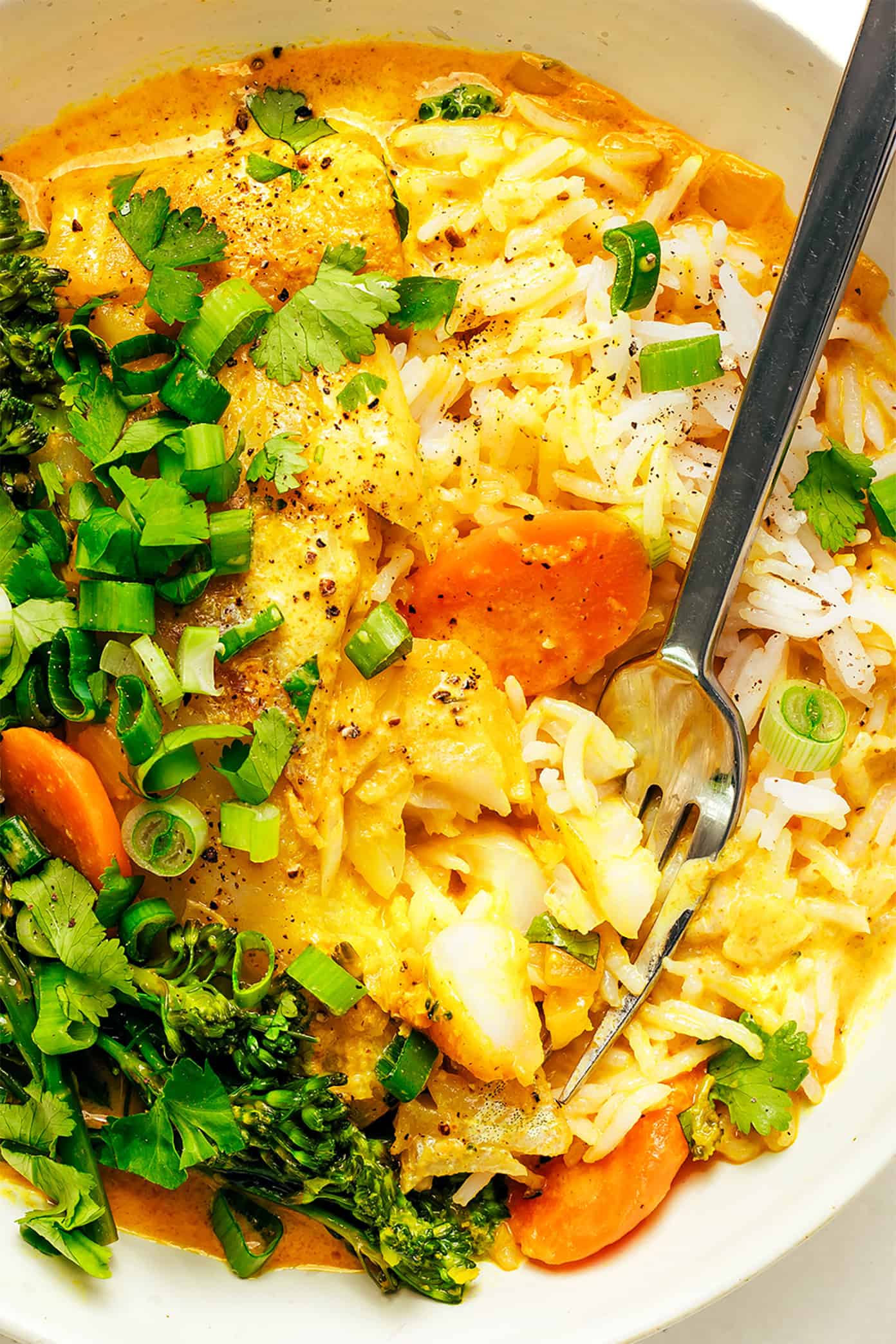 Thai Fish Curry Closeup